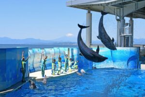 水族館
