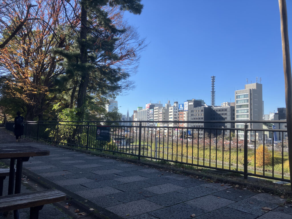 Park scene with a metal railing, trees on the left, and a distant city skyline against a clear blue sky.