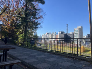 Park scene with a metal railing, trees on the left, and a distant city skyline against a clear blue sky.
